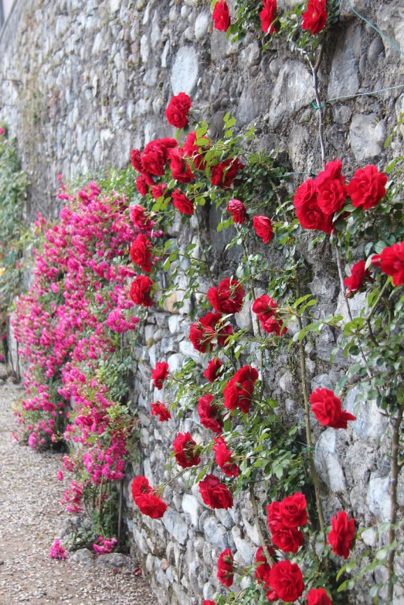 Villa Carlotta Garden